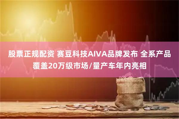 股票正规配资 赛豆科技AIVA品牌发布 全系产品覆盖20万级市场/量产车年内亮相